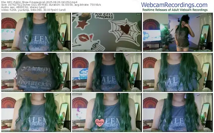 2025/08/26/mfc-meowgical-04-10-52