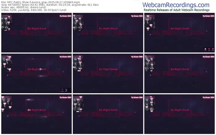 2025/08/27/mfc-aurora_gray-03-38-43