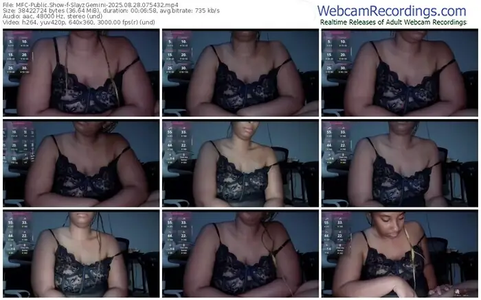 2025/08/28/mfc-slayzgemini-07-54-32