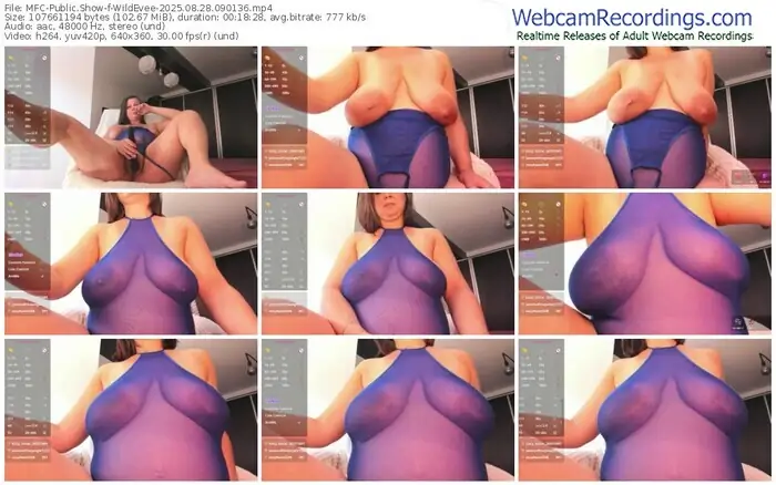 2025/08/28/mfc-wildevee-09-01-36