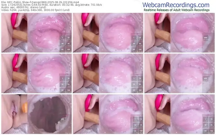 2025/08/29/mfc-danigirl866-20-19-56