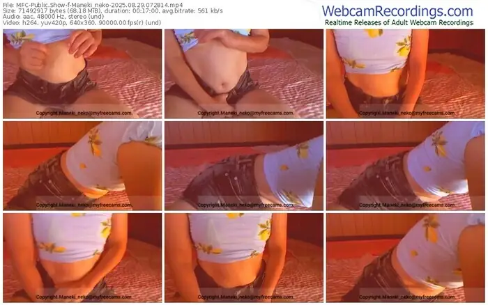 2025/08/29/mfc-maneki_neko-07-28-14