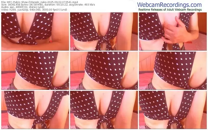 2025/09/02/mfc-maneki_neko-07-25-41