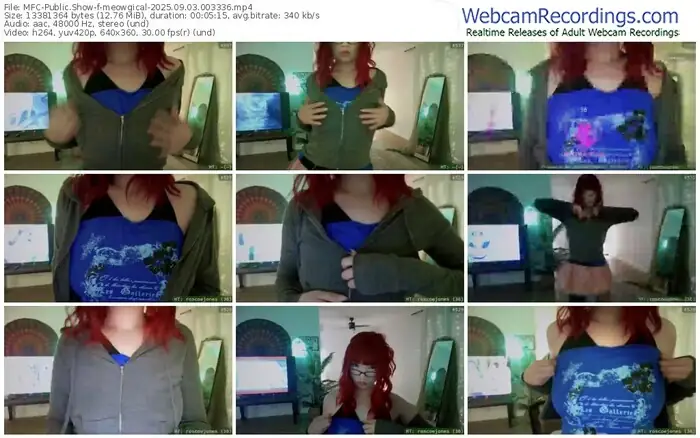 2025/09/03/mfc-meowgical-00-33-36