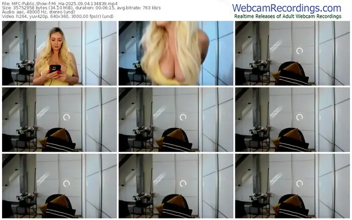 2025/09/04/mfc-mi_ha-13-48-39