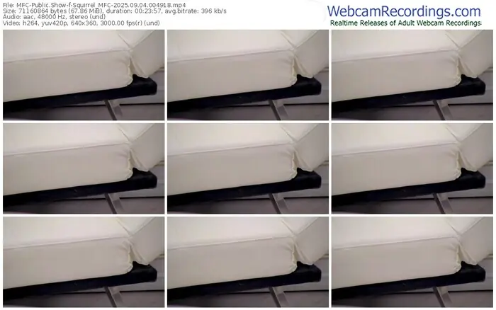 2025/09/04/mfc-squirrel_mfc-00-49-18