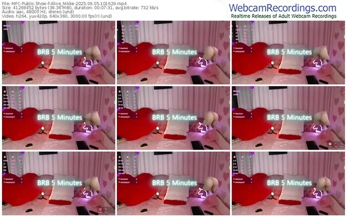 2025/09/05/mfc-alice_nikke-10-16-29