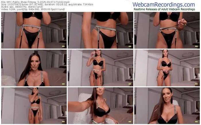 2025/09/07/mfc-meow_s-17-10-42