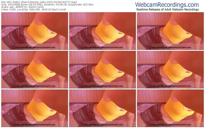 2025/09/08/mfc-maneki_neko-04-37-27