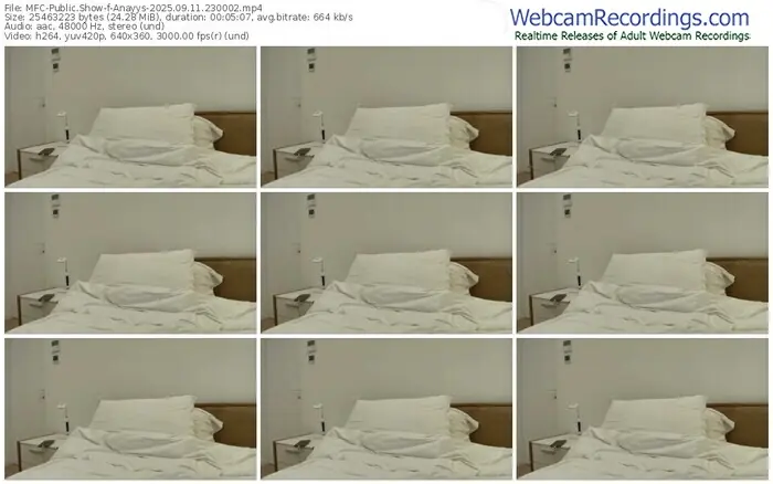 2025/09/11/mfc-anayys-23-00-02