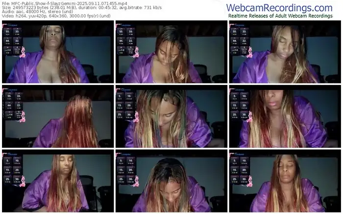 2025/09/11/mfc-slayzgemini-07-14-55