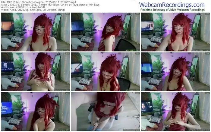 2025/09/11/mfc-meowgical-23-56-02