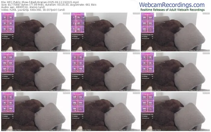 2025/09/12/mfc-badlibrarian-19-22-21