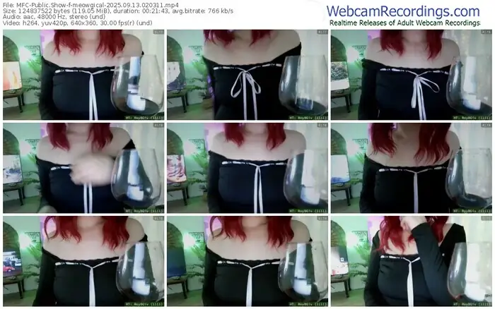 2025/09/13/mfc-meowgical-02-03-11