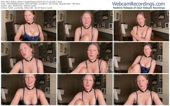 2025/09/15/mfc-agenttease-21-05-17
