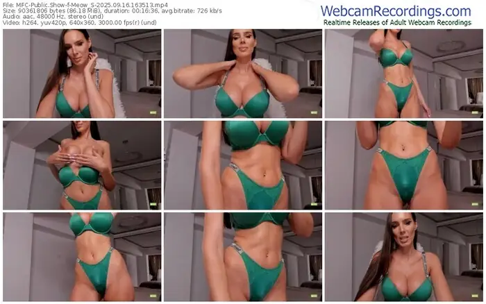 2025/09/16/mfc-meow_s-16-35-13