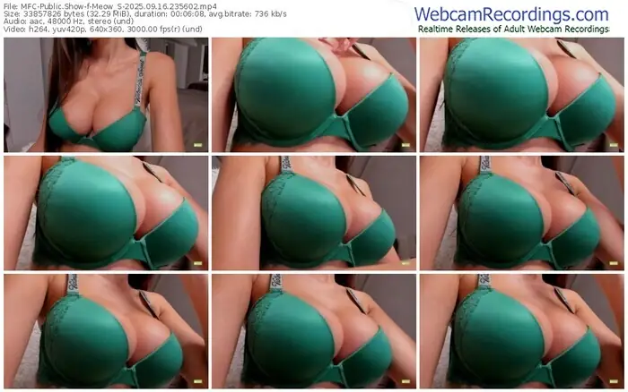 2025/09/16/mfc-meow_s-23-56-02