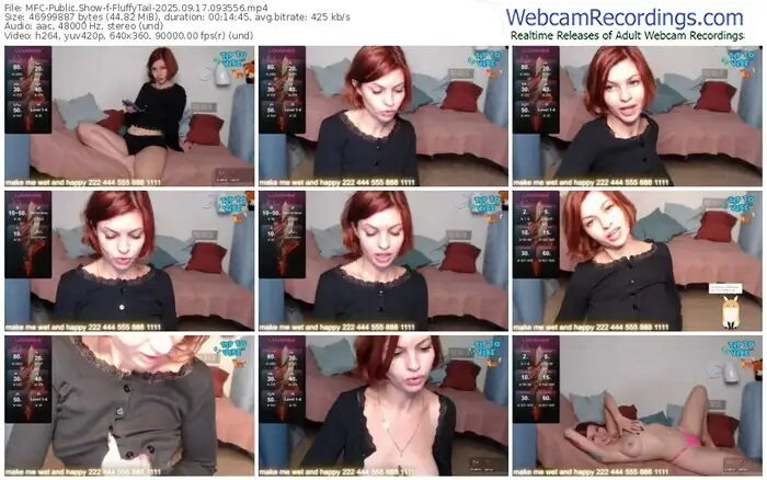 2025/09/17/mfc-fluffytail-09-35-56