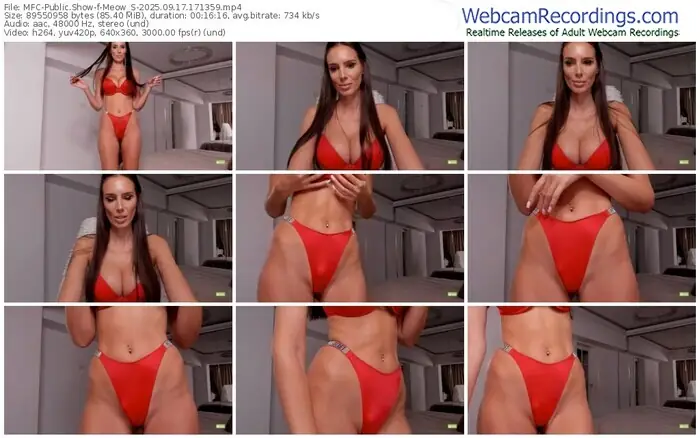 2025/09/17/mfc-meow_s-17-13-59