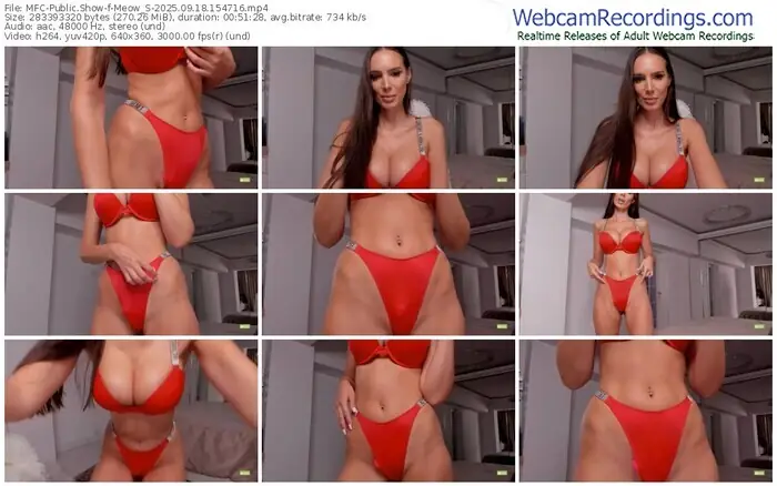 2025/09/18/mfc-meow_s-15-47-16