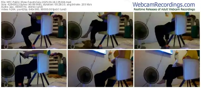 2025/09/18/mfc-exoticlulu-13-53-04