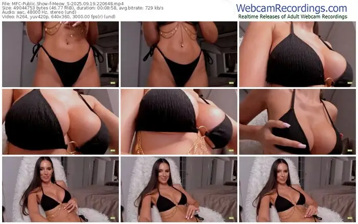 2025/09/19/mfc-meow_s-22-06-48