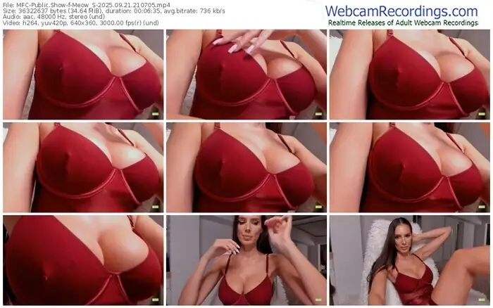 2025/09/21/mfc-meow_s-21-07-05