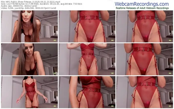 2025/09/21/mfc-meow_s-21-32-21