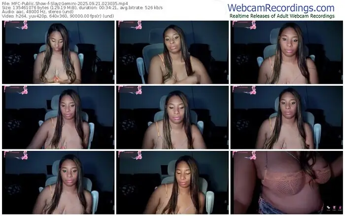 2025/09/21/mfc-slayzgemini-02-30-35