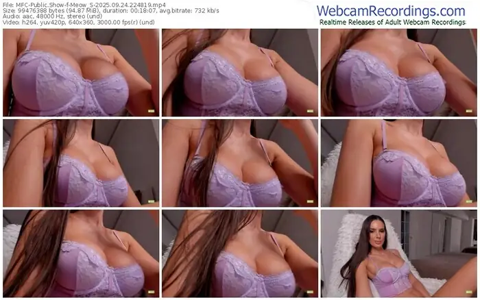2025/09/24/mfc-meow_s-22-48-19