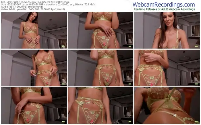 2025/09/27/mfc-meow_s-17-34-23