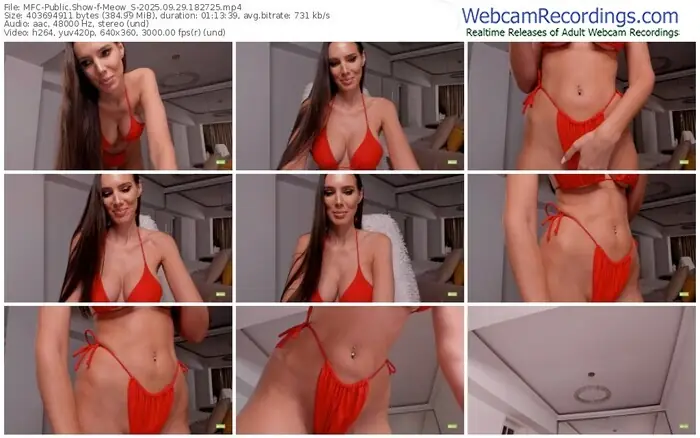 2025/09/29/mfc-meow_s-18-27-25