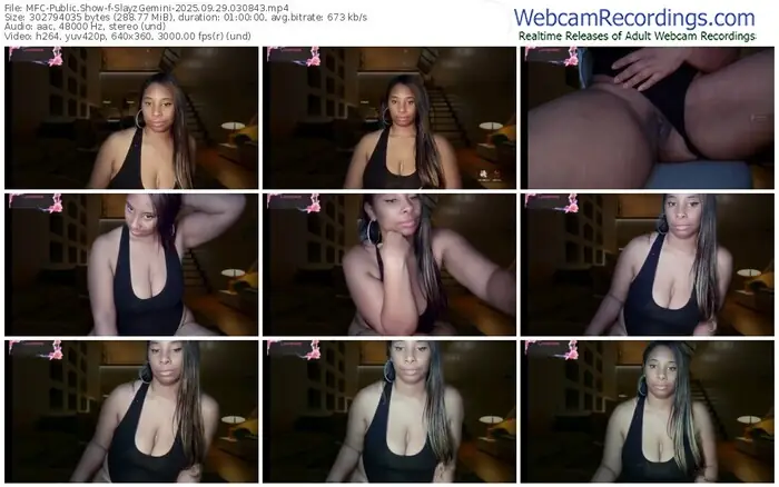 2025/09/29/mfc-slayzgemini-03-08-43