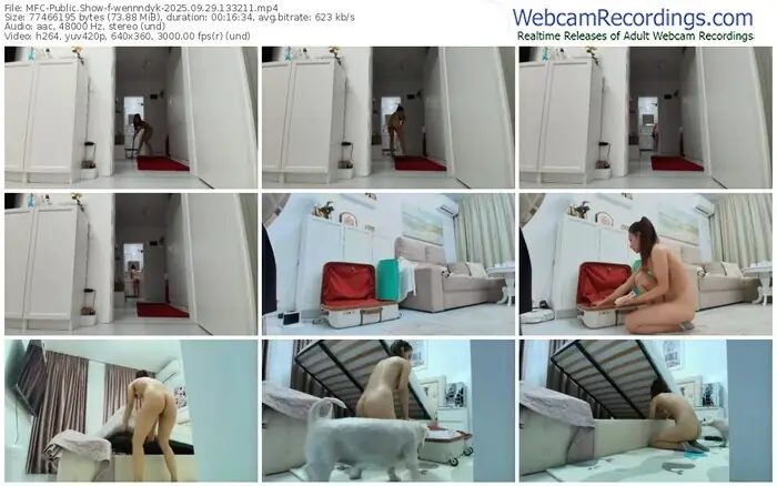 2025/09/29/mfc-wennndyk-13-32-11