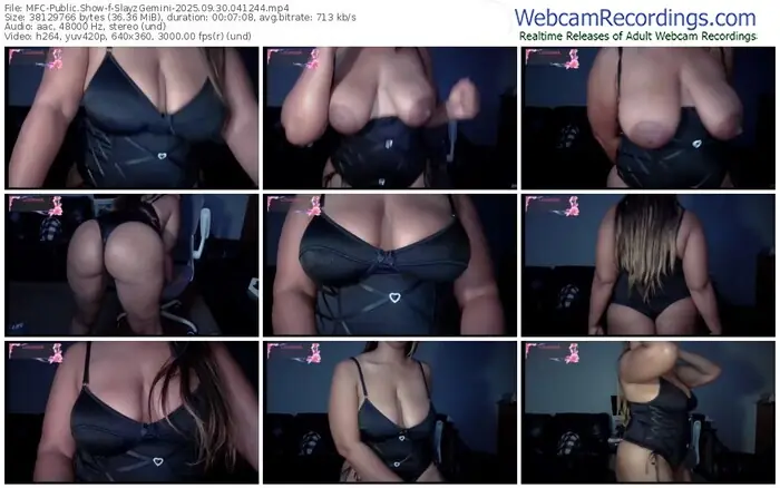 2025/09/30/mfc-slayzgemini-04-12-44