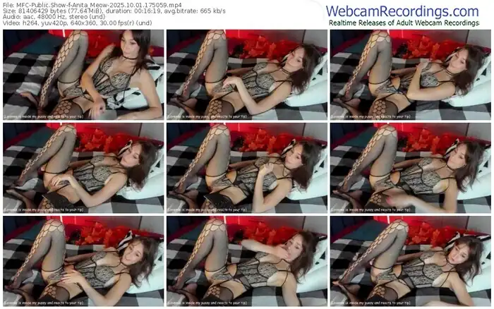 2025/10/01/mfc-anita_meow-17-50-59