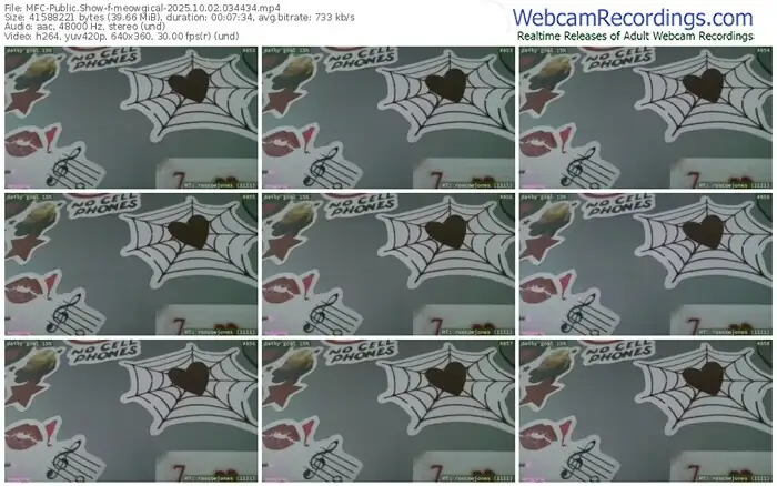 2025/10/02/mfc-meowgical-03-44-34