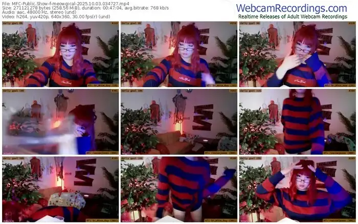 2025/10/03/mfc-meowgical-03-47-27