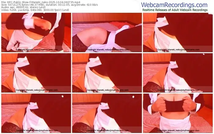 2025/10/04/mfc-maneki_neko-06-07-35