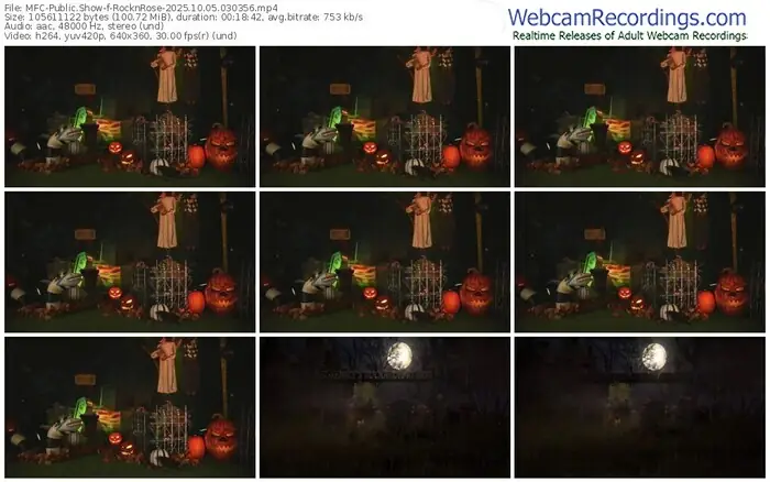 2025/10/05/mfc-rocknrose-03-03-56