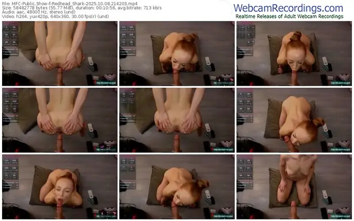 2025/10/08/mfc-redhead_shark-21-42-03