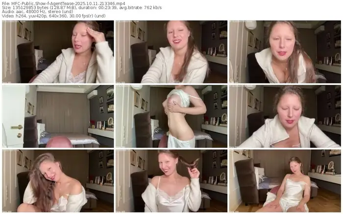 2025/10/11/mfc-agenttease-21-33-46