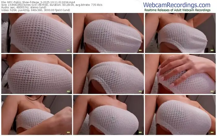 2025/10/11/mfc-meow_s-01-16-34