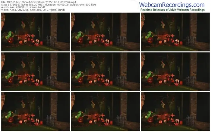 2025/10/12/mfc-rocknrose-03-57-16