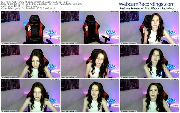 2025/10/13/mfc-honey_dream-20-41-11
