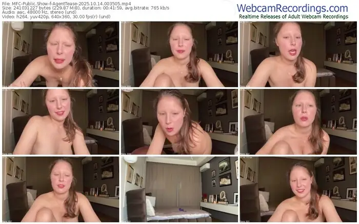 2025/10/14/mfc-agenttease-00-35-05