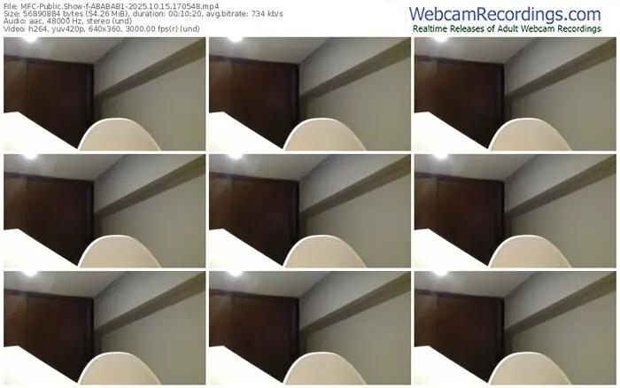 2025/10/15/mfc-ababab1-17-05-48