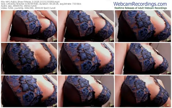 2025/10/15/mfc-meow_s-23-33-50