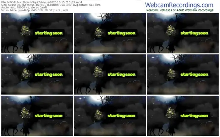 2025/10/15/mfc-squidvicious-01-51-24