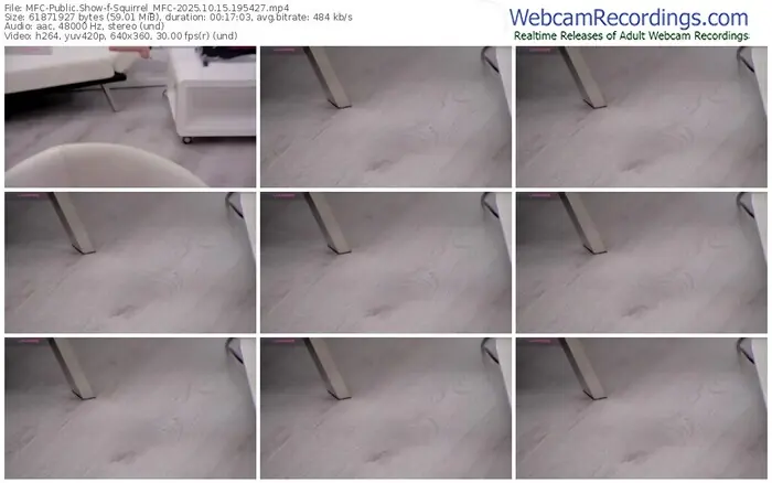 2025/10/15/mfc-squirrel_mfc-19-54-27